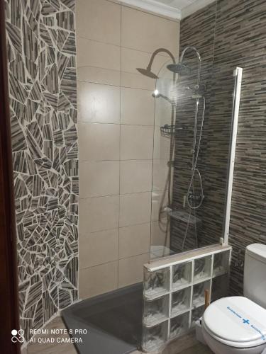 a bathroom with a shower with a toilet in it at Hotel Serra D'írta in Alcossebre