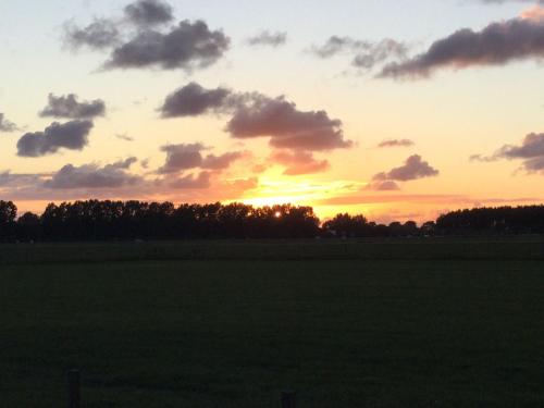 Foto de la galería de De indiaan en Noord-Scharwoude