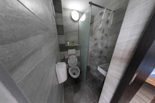 a small bathroom with a toilet and a shower at Konak kod Hame in Bihać
