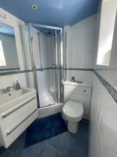 a bathroom with a toilet and a shower and a sink at Central townhouse in Woodstock