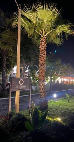 a sign in front of a palm tree at night at B&B Antica Hera in Foce del Sele