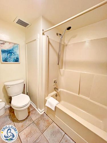 Centrally Located Chic Collingwood Condo – Photos 5