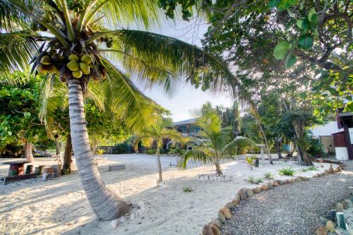 Taman di luar Casa Edie