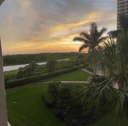 a view of a park with a palm tree and a river at Beach Front Condo In Paradise Marco Island in Marco Island