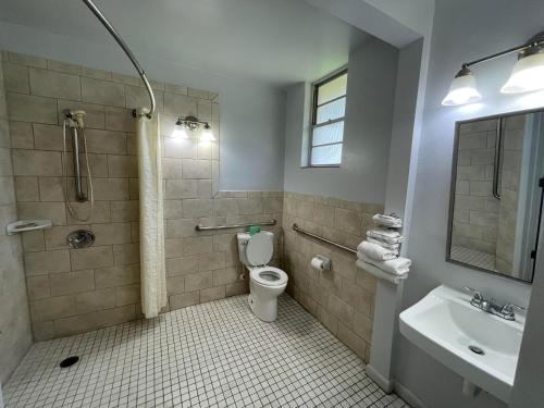 a bathroom with a shower and a toilet and a sink at Castillo Inn in Saint Augustine