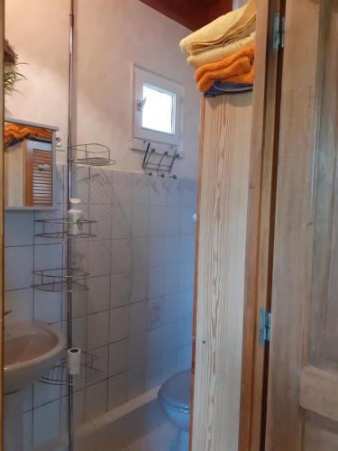 bagno con servizi igienici e lavandino di Studio du gite a Wavrans-sur-lʼAa