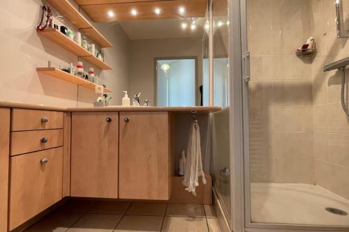 une salle de bain avec une douche, un lavabo et une baignoire dans l'établissement Les Capucines - Appartement moderne proche centre d'Annecy, à Annecy