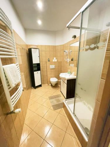 a bathroom with a shower and a toilet and a sink at Villa Gorczańska in Rabka-Zdrój