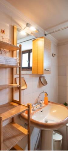 a small bathroom with a sink and a sink at Olga in Nikiana
