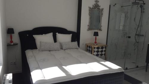 a bedroom with a large bed and a glass shower at Appartement OH! Duc de Sully in Sully-sur-Loire