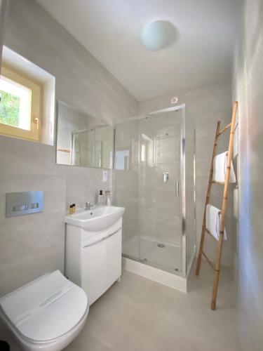 uma casa de banho com um WC, um lavatório e um chuveiro em CIENISTA 7 APARTMENTS em Lądek-Zdrój
