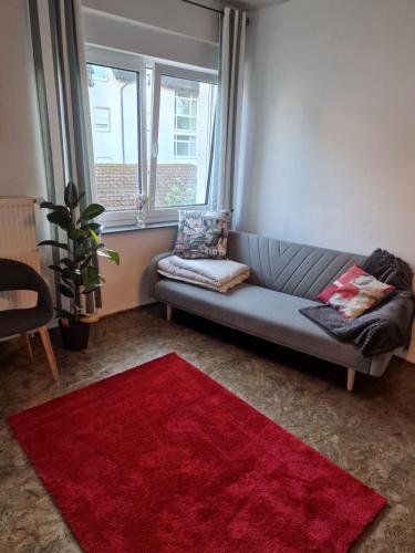 a living room with a couch and a red rug at Ferienwohnung Wunderlich rot in Münchberg