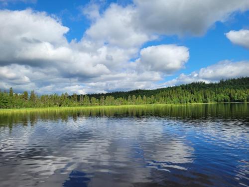 un gran lago con árboles y nubes en el cielo en Hytte ved innsjø, en Landsem