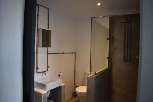 a bathroom with a sink and a toilet and a mirror at Langbeentjie Inn in Cape Town