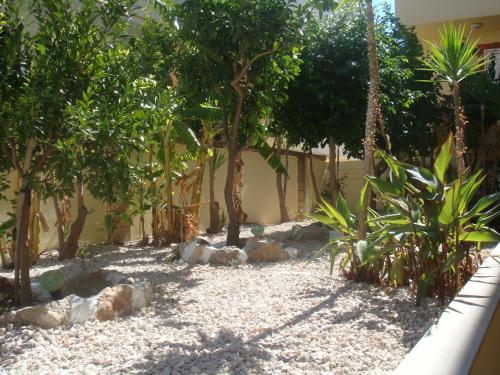 a garden with trees and rocks in front of a building at Billy's Studios in Faliraki
