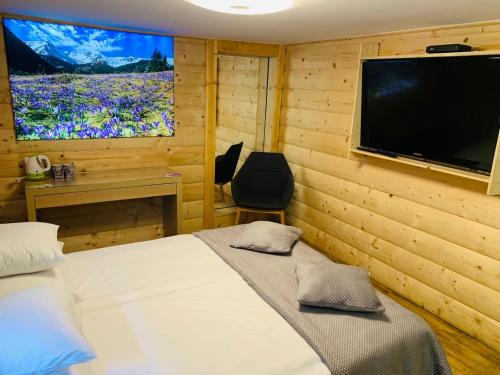 扎科帕內的住宿－APLIT GUEST HOUSE，一间卧室配有一张床和一台平面电视