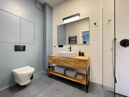 W łazience znajduje się umywalka, toaleta i lustro. w obiekcie Apartament Luna w mieście Mechelinki
