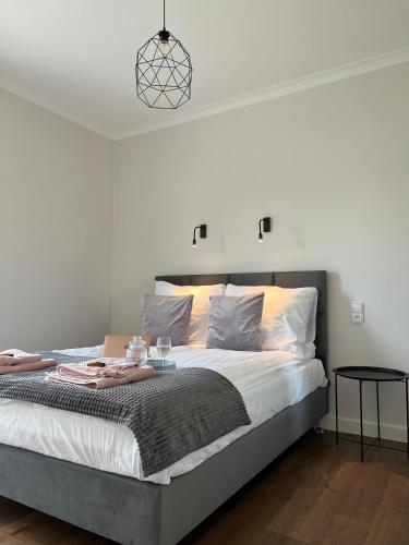 a bedroom with a large bed with a pendant light at Domy na polanie- Szarotka in Wolany