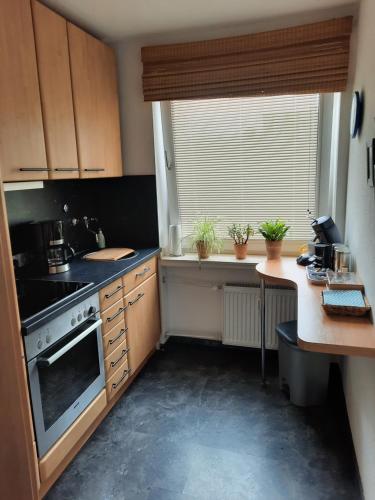 a small kitchen with a stove and a window at Ferienwohnungen Triebels in Aachen