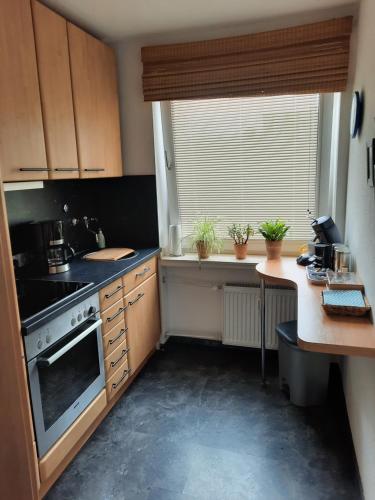 eine kleine Küche mit einem Herd und einem Fenster in der Unterkunft Ferienwohnungen Triebels in Aachen
