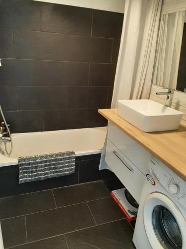 uma casa de banho com um lavatório e uma máquina de lavar roupa em Appartement cosy de centre ville em Charenton-le-Pont