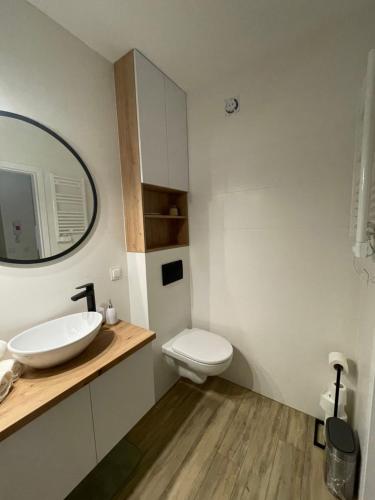 a bathroom with a sink and a toilet and a mirror at Apartament Jantar in Jantar