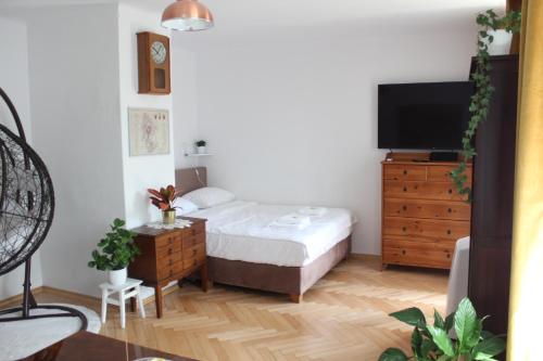 Postel nebo postele na pokoji v ubytování Galicja Apartamenty