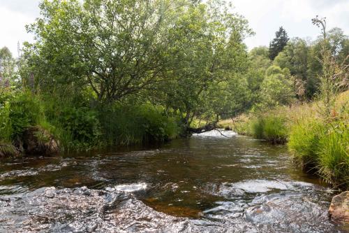 a river with rocks and trees on the side at Wellness Apartmán Pila Kvilda in Kvilda