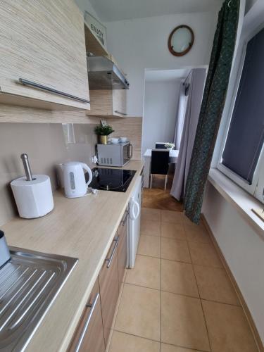 eine Küche mit einer Spüle und einer Arbeitsplatte in der Unterkunft Własne M - Studio in Konin