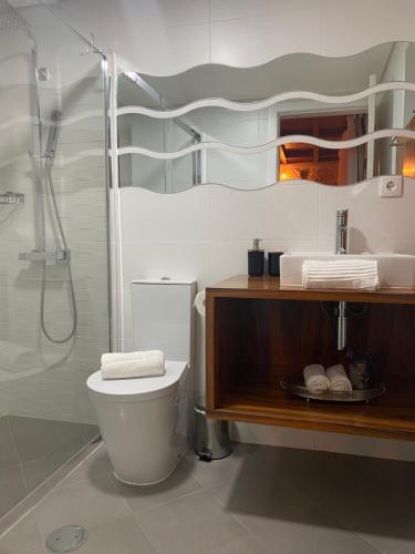 a bathroom with a toilet and a shower at Quinta da Vinha do Souto in Arouca