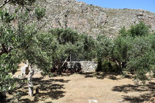 a group of trees with a mountain in the background at Akroyiali Apartments in Gerolimenas