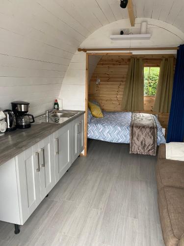 a kitchen with a sink and a room with a bed at A house and a half on Beara peninsula in Castletownbere