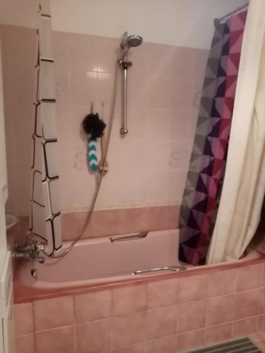 une salle de bain avec baignoire et douche dans l'établissement chez beatrice, à Selles-sur-Cher