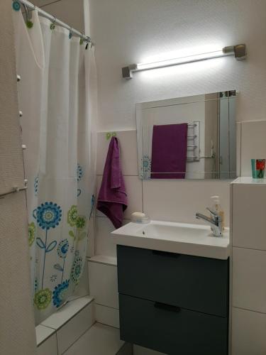 a bathroom with a sink and a shower curtain at JINA in Strasbourg