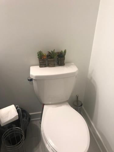 uma casa de banho com um WC com vasos de plantas em Place You can call Home !!! Near Ottawa Airport em Ottawa
