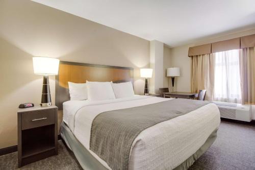 Tempat tidur dalam kamar di SureStay Plus Hotel by Best Western Houston Medical Center