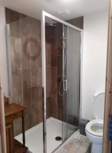 a bathroom with a shower and a toilet at Blakes in Carrigaholt in Kilkee