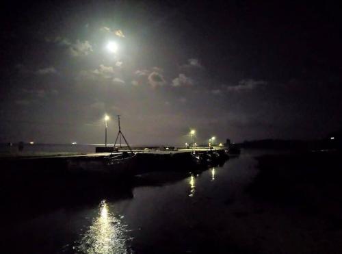 a dock at night with the moon in the sky at Blakes in Carrigaholt in Kilkee