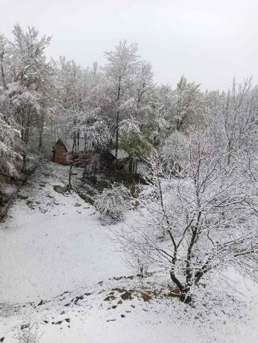 PLITVICE OAZA MIRA semasa musim sejuk
