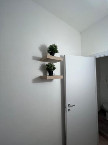 two plants on shelves on a white wall next to a refrigerator at Alla Scalinata del Teatro Rossetti confort suites parcheggio in Trieste