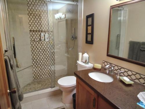 un bagno con doccia, WC e lavandino di Hannie's Gasthuis a Blind Bay