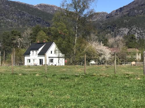 a white house in the middle of a field at Dr Haave- middle of nowhere, pikeværelset in Sand