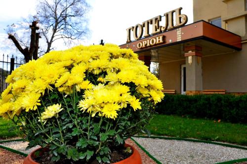 Jardín al aire libre en Hotel Orion