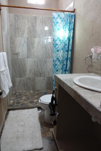 a bathroom with a shower and a toilet and a sink at Bungalows Victoria in La Manzanilla