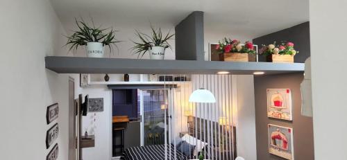 dos estanterías con plantas encima de una habitación en Estudio Balcarce Increíble!! en Rosario