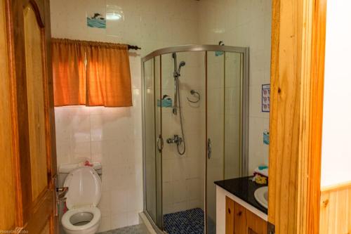 a bathroom with a shower and a toilet and a sink at Villa Marthe in Baie Sainte Anne