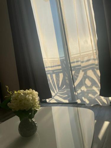 Gambar di galeri bagi Apartament Daria Baile Felix di Baile Felix