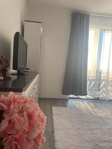 Televisyen dan/atau pusat hiburan di Apartament Daria Baile Felix