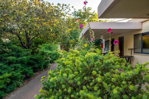 a garden with pink flowers and bushes next to a house at כפר הנופש קיבוץ גדות Kibbutz Gadot Galilean Resort in Gadot