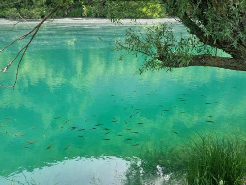Gallery image of Camping Dolovi in Obrovac